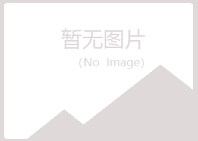 香港夏日机械有限公司